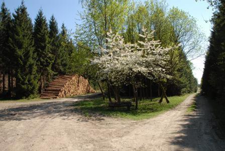 Pension Haus Talblick Winterberg Kültér fotó